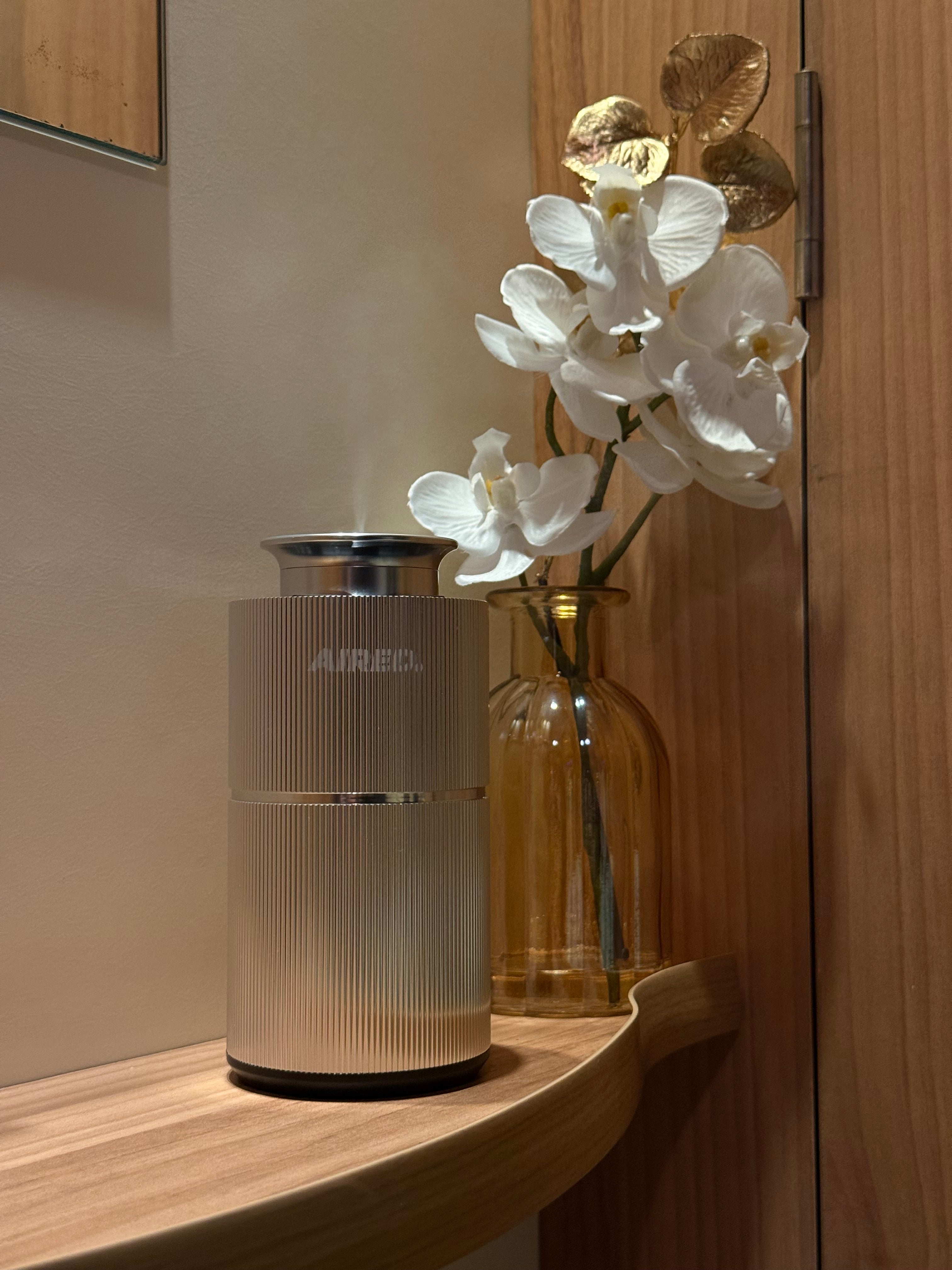 PRO1 In-Car / Home Mini Luxury Electronic Rechargeable Essential Oils Diffuser By AIRED. (SILVER)