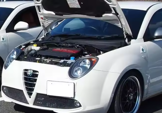Alfa Romeo Mito Gas Bonnet Struts (2008-2018 Models)