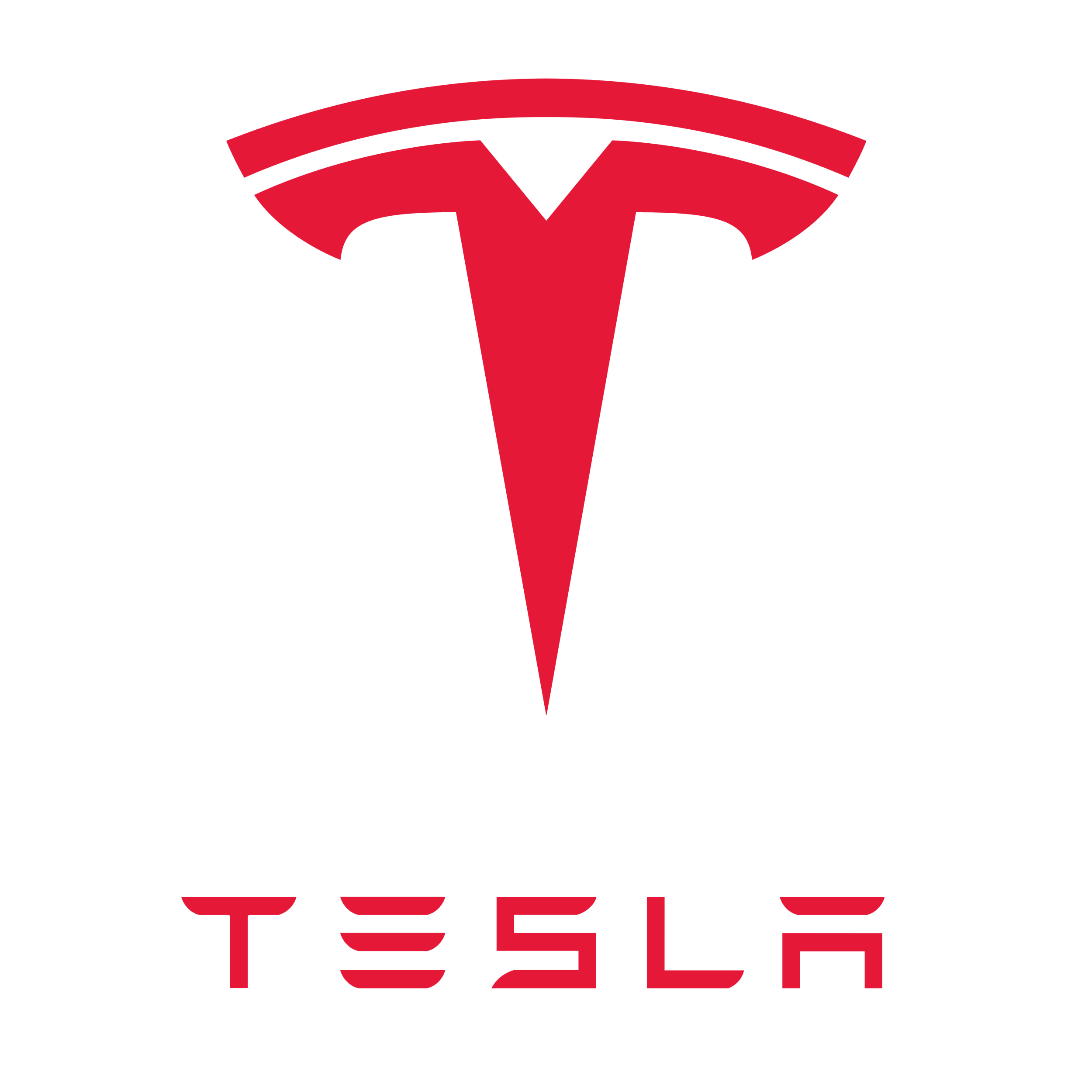 Tesla Accessories