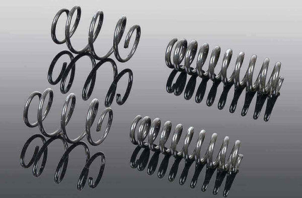 AC Schnitzer suspension spring kit for BMW X6 G06