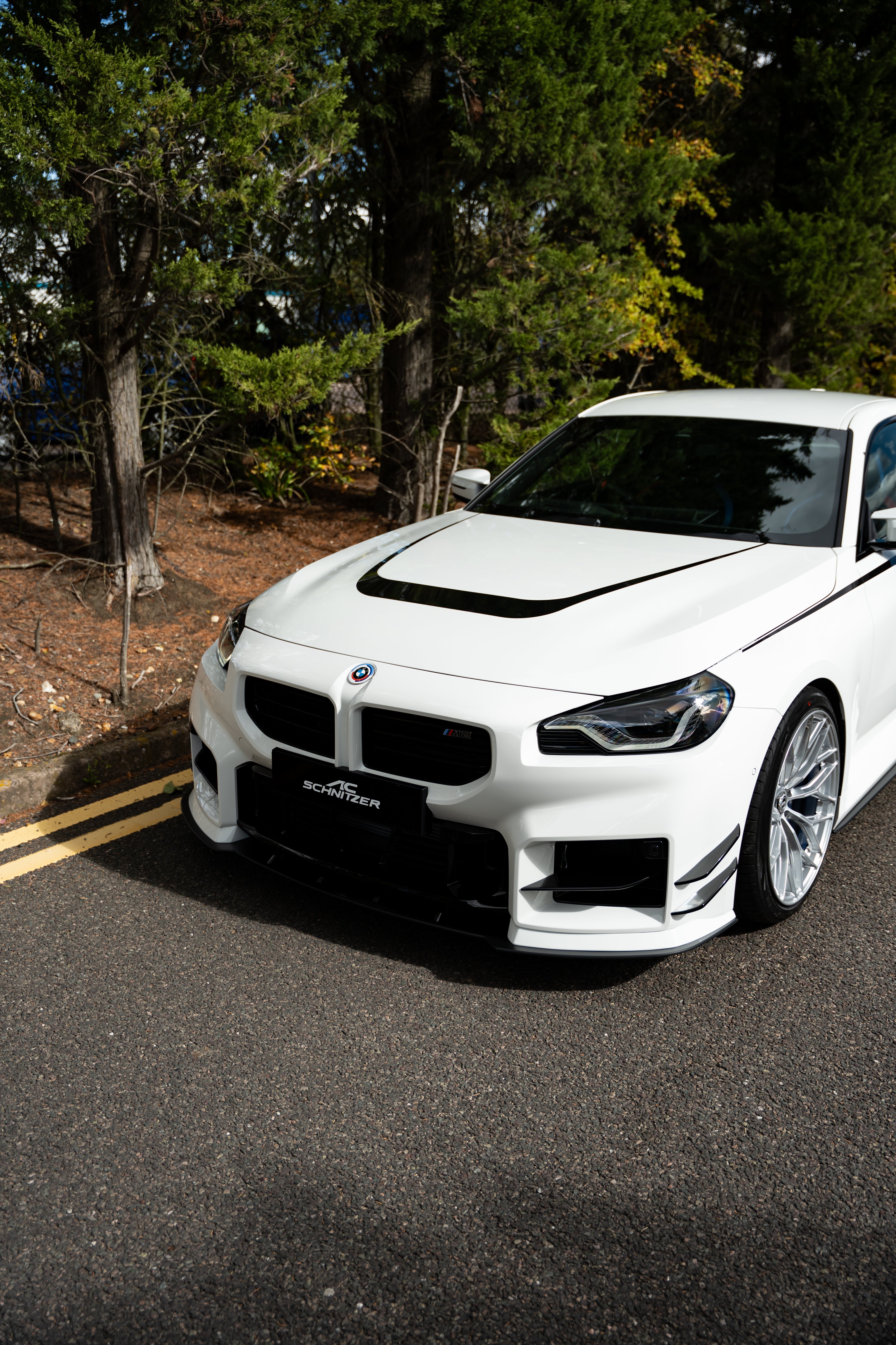 AC Schnitzer winglets for BMW M2 G87 (5111387530)