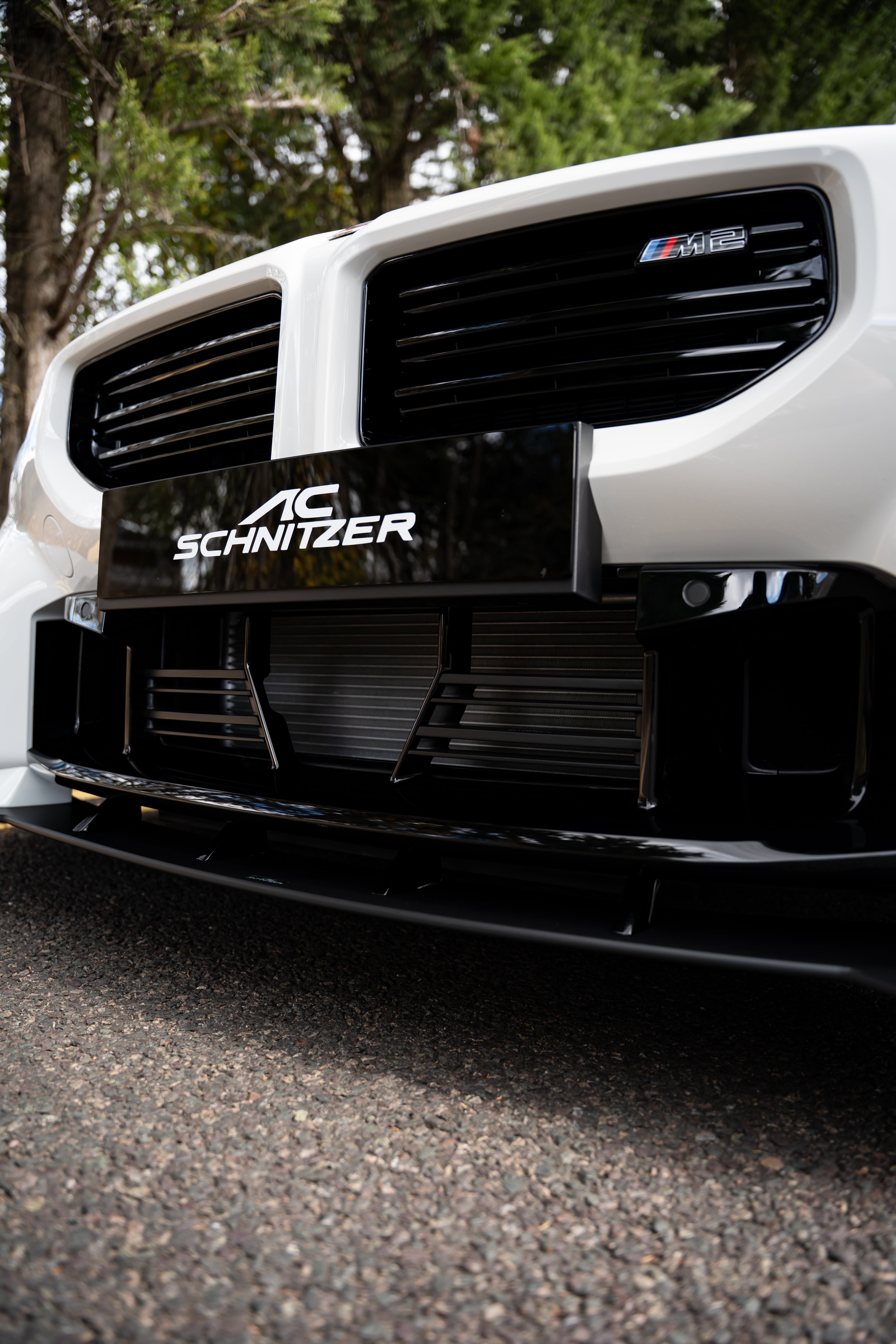 AC Schnitzer front grill for BMW M2 G87 (5111387540)
