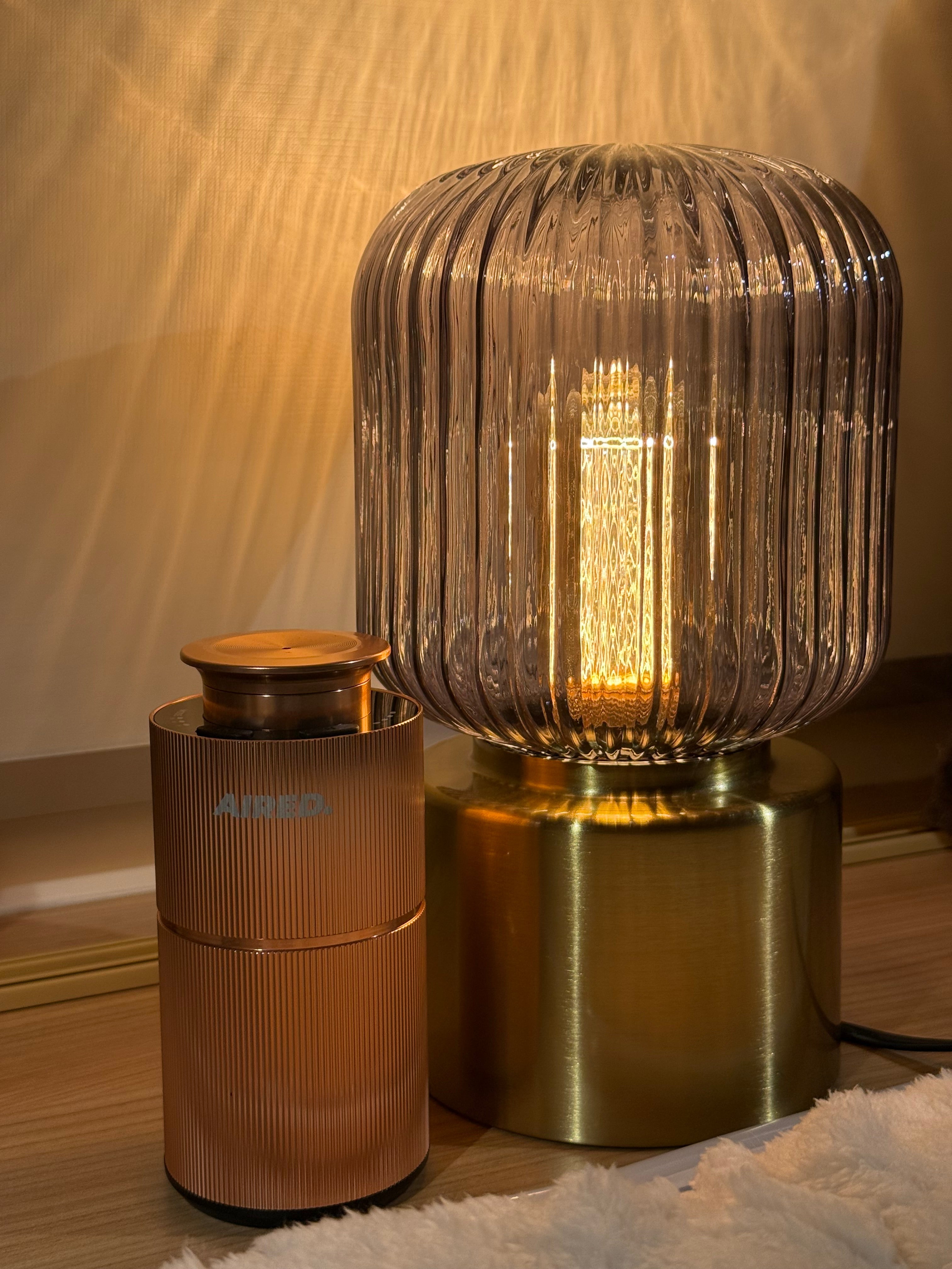 PRO1 In-Car / Home Mini Luxury Electronic Rechargeable Essential Oils Diffuser By AIRED. (ROSE GOLD)