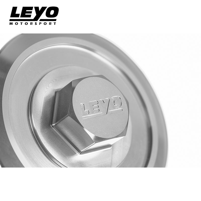 Leyo Motorsport Aluminium DSG Oil Filter Housing - DQ250