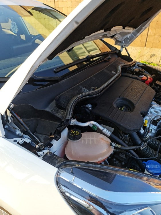 Ford Fiesta MK8 Carbon Fibre Gas Bonnet Struts (2018+ Models)