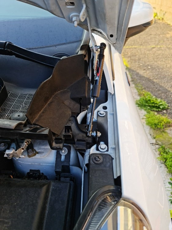 Ford Fiesta MK8 Carbon Fibre Gas Bonnet Struts (2018+ Models)